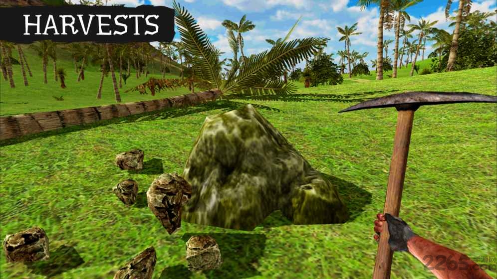 荒岛求生进化联机版