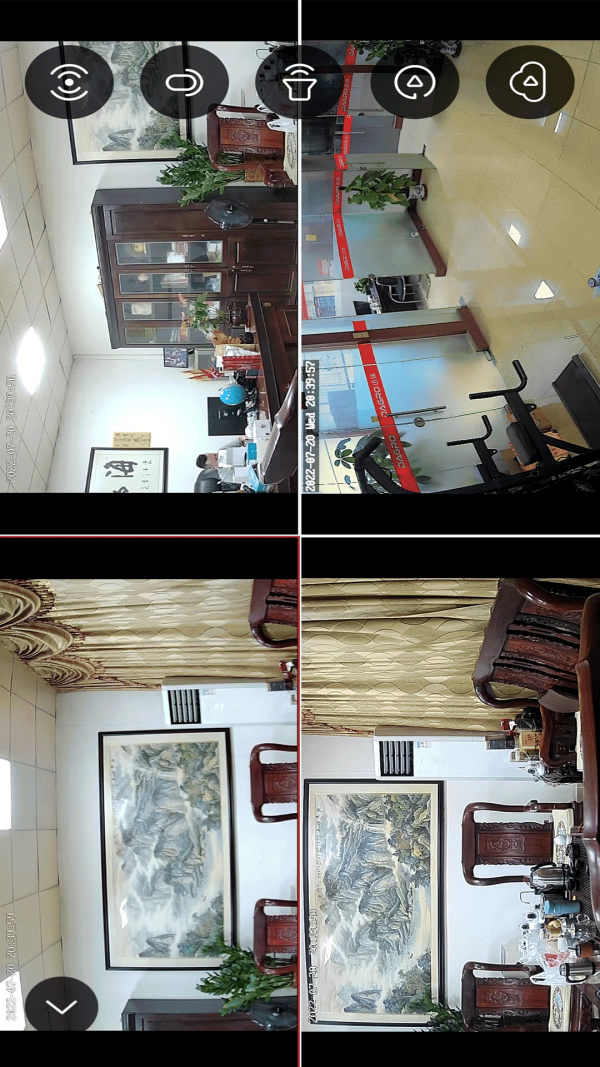 小强当家 小强当家