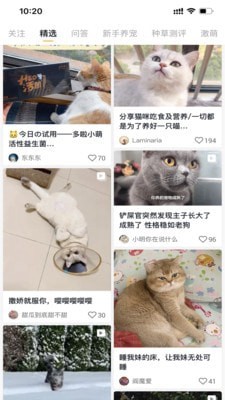 小萌猫短视频