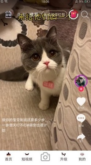 暖暖视频