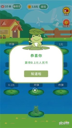 荷花小镇app下载