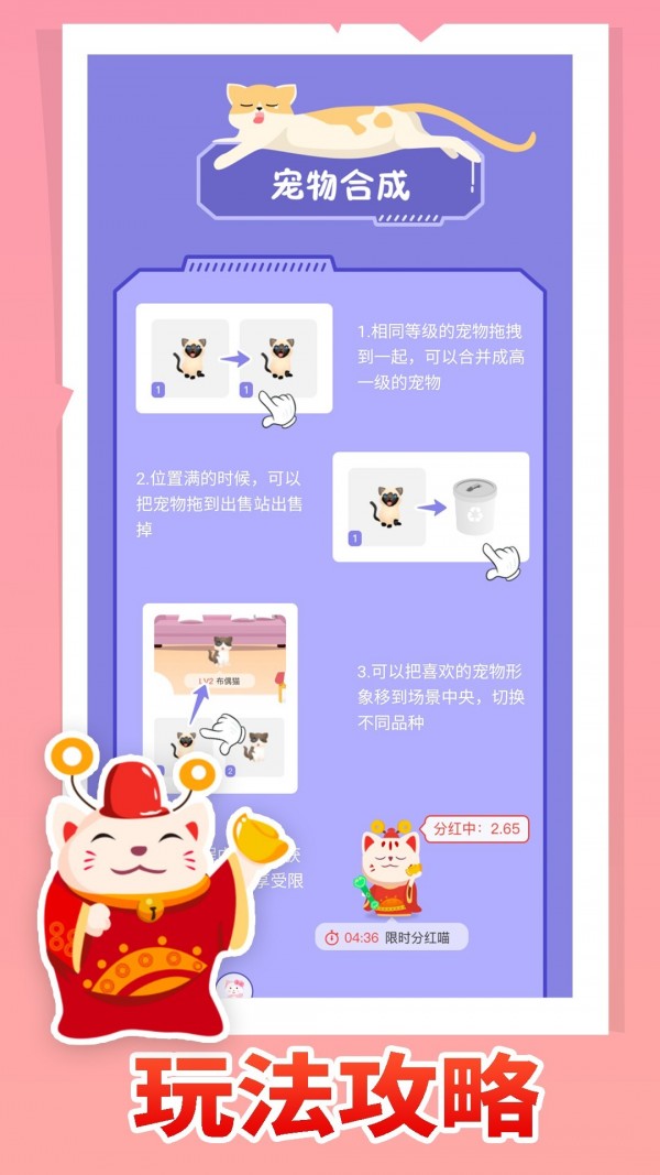 疯狂猫咪