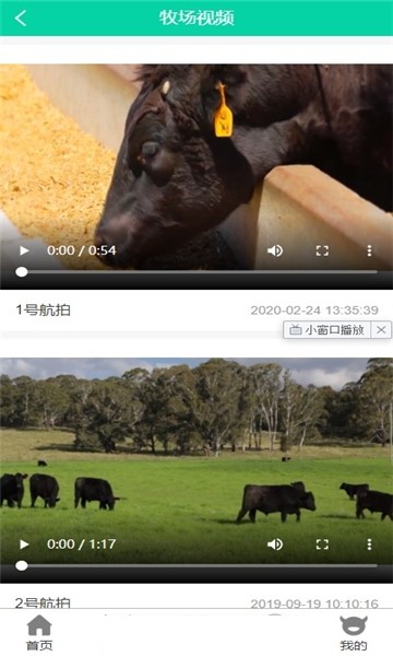 凯馨牧业