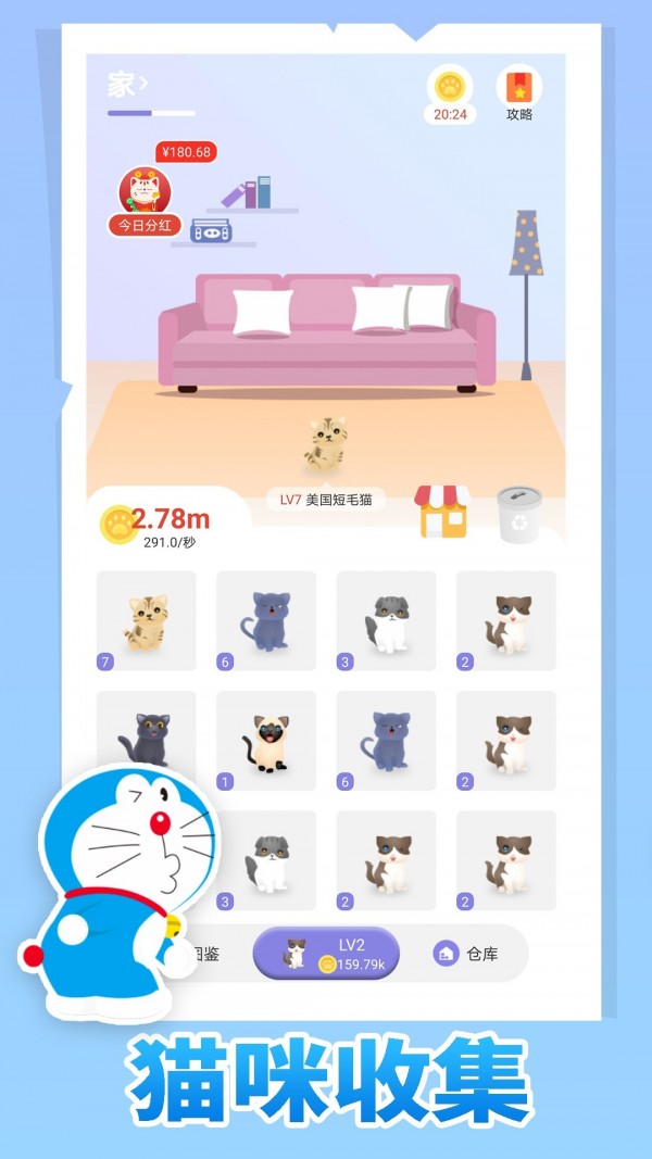 疯狂猫咪