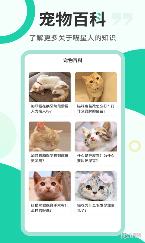 猫语翻译机