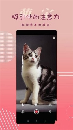 萌宝照相机 萌宝照相机