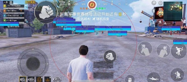 和平精英九尾狐辅助