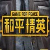 和平精英ZDY追踪助手