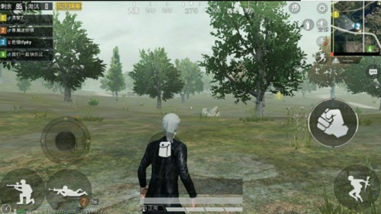 和平精英小霸王辅助