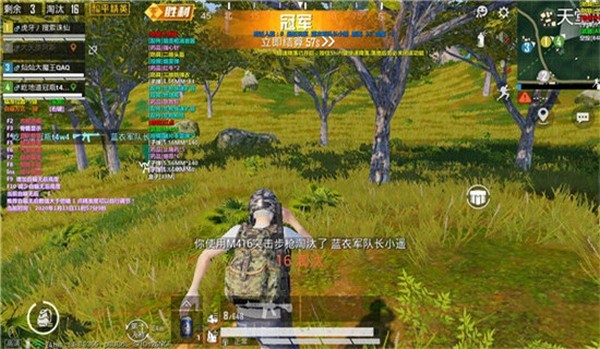 和平精英华帝辅助