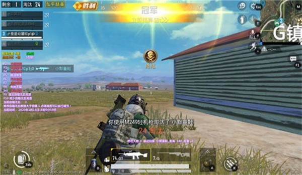 和平精英华帝辅助