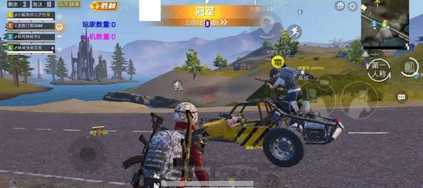 和平精英九尾狐辅助