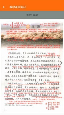 小学语文四年级 小学语文四年级