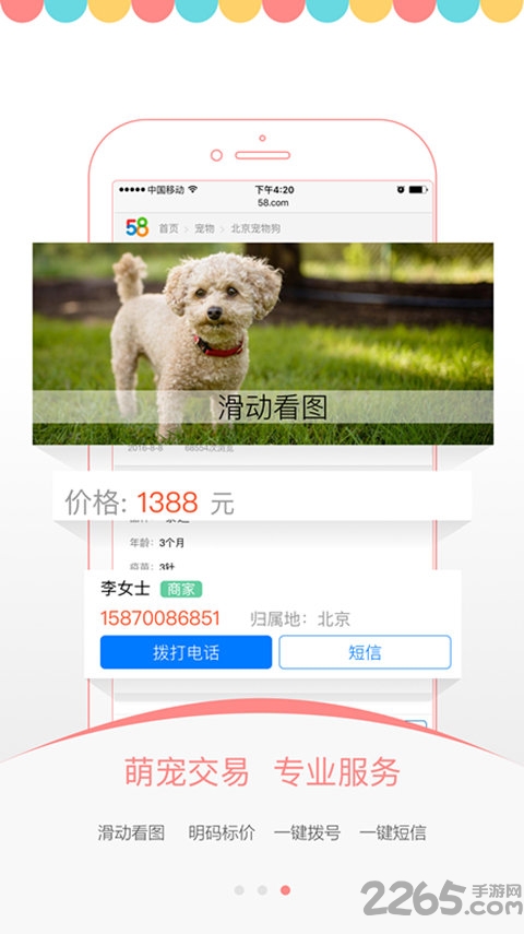 爱宠之家官方版下载
