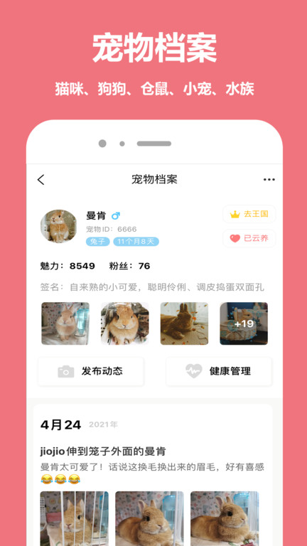 宠物王国app