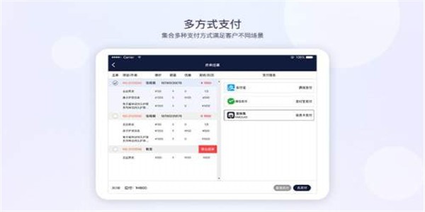 智美人