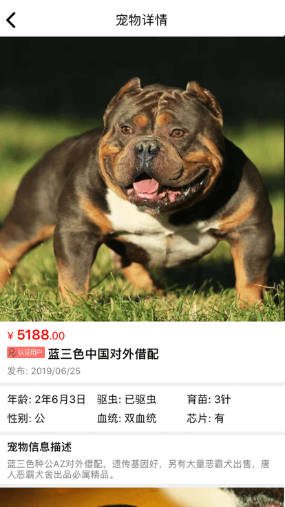 猫行狗市宠物交易市场