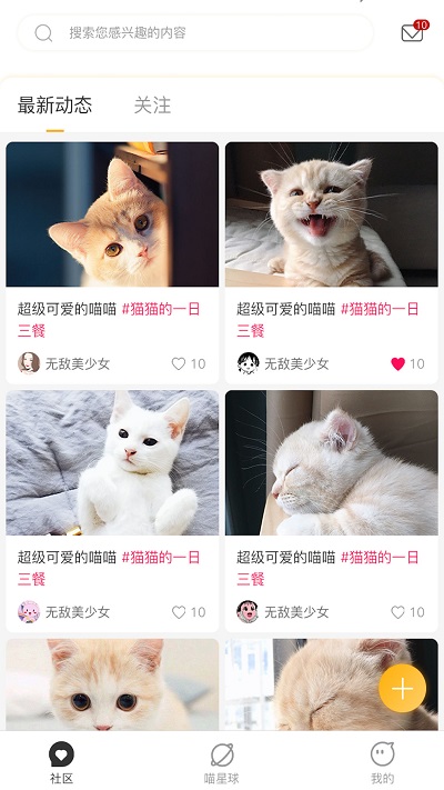 云养猫安卓版下载