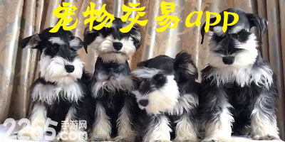 宠物交易app排行榜-宠物交易app下载-宠物交易软件推荐