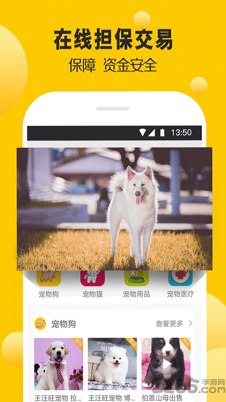 宠狐担保交易平台