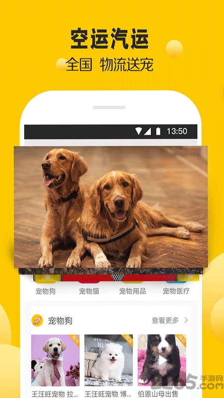 宠狐担保交易平台