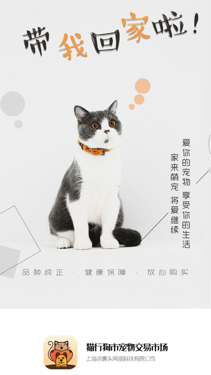 猫行狗市宠物交易市场