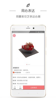 鲜花BLOOM 鲜花BLOOM