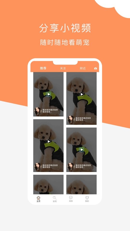 栖宠app