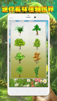 迷你森林植物世界