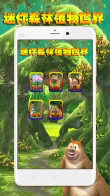 迷你森林植物世界