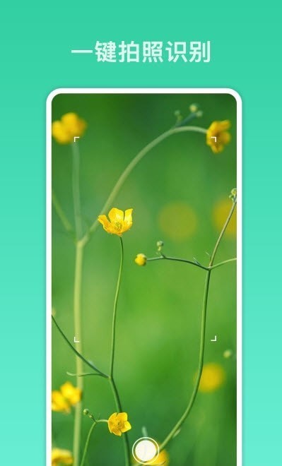 拍照识别君 拍照识别君