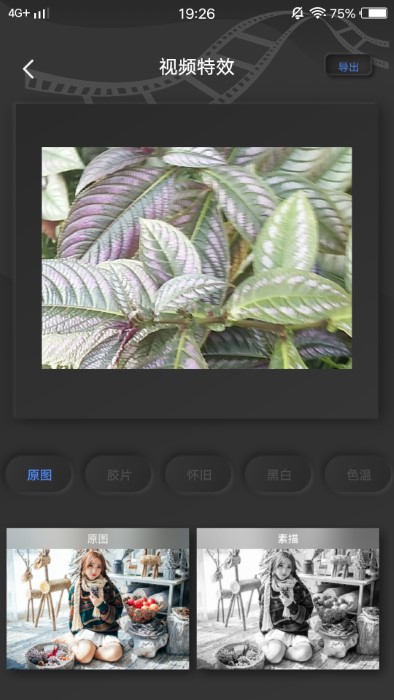 pre视频quel美化app