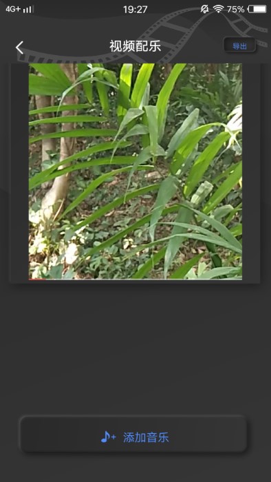 pre视频quel美化app