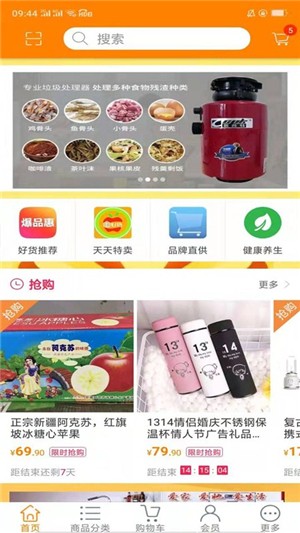 金蚁健康 金蚁健康