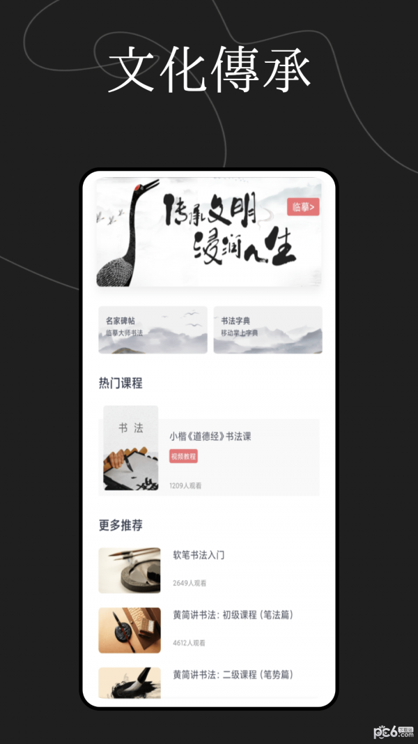 硬笔书法练字大师