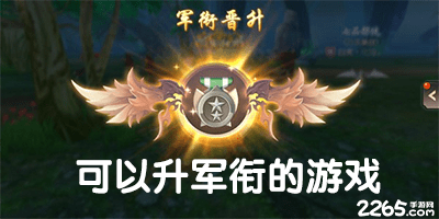 可以升军衔的单机游戏-可以升军衔的士兵游戏-升军衔的手机游戏下载