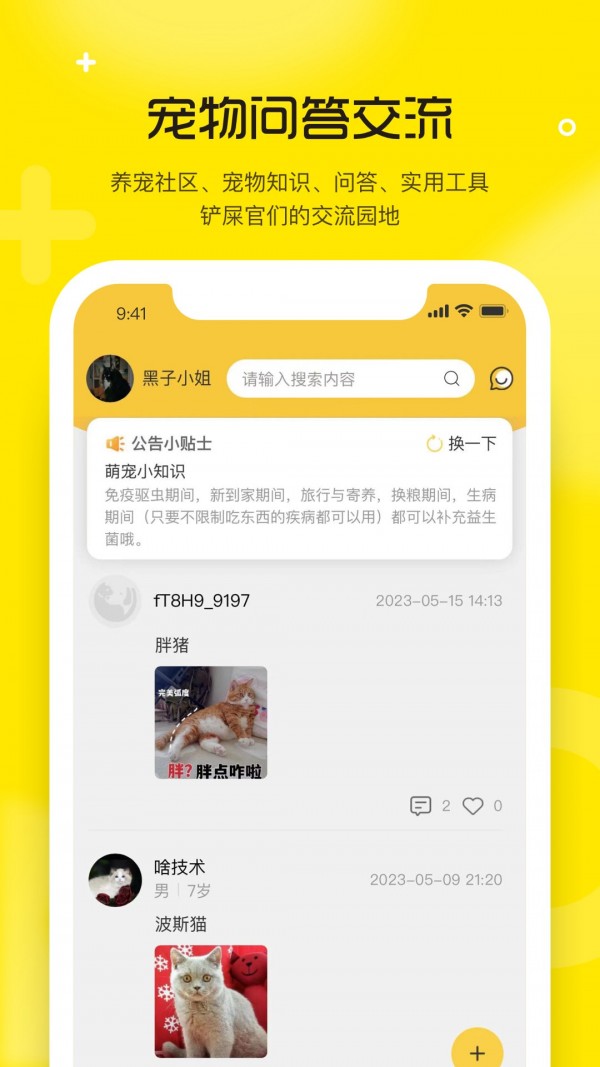 宠宝