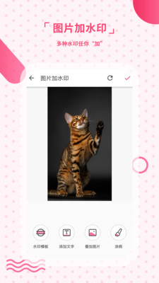 去水印工作室 去水印工作室