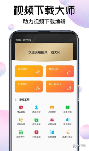 视频下载去水印