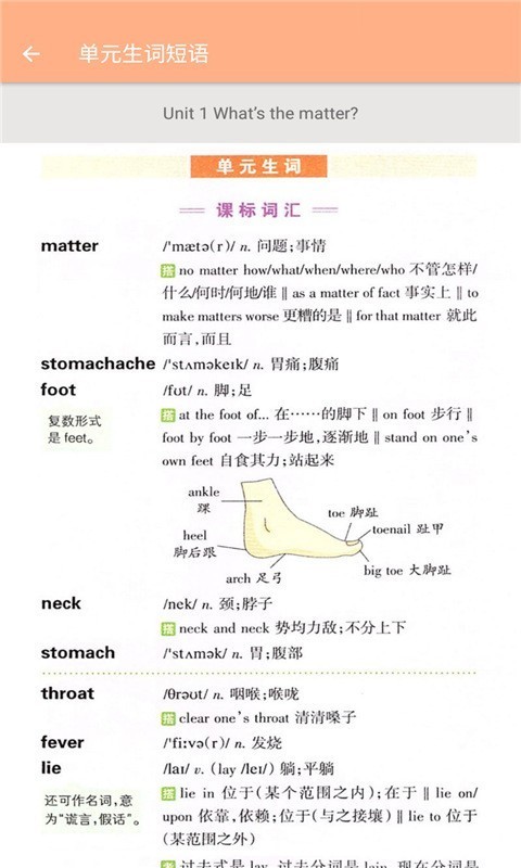 八年级下册英语辅导