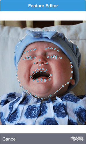 face story软件