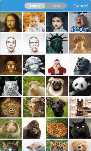 face story软件