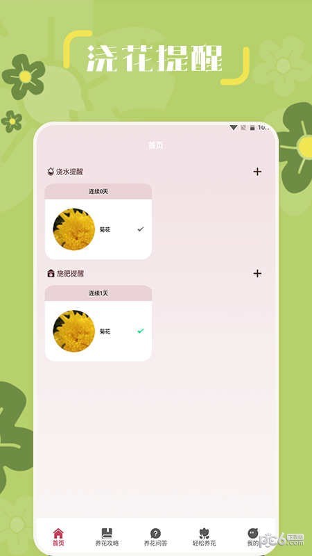 小兰君养花大师