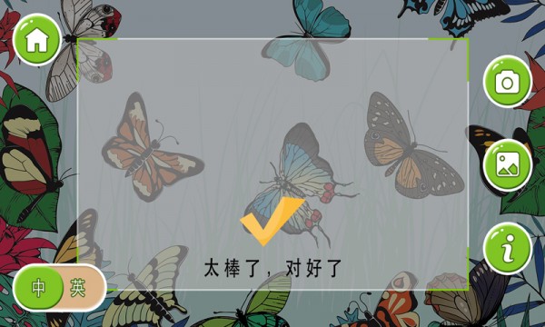 神笔绘画AR