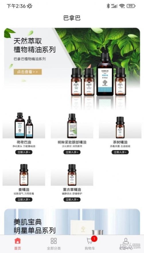 巴拿巴