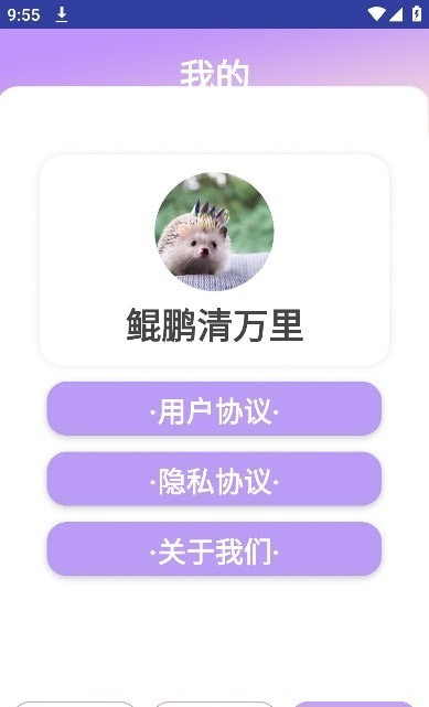 鲲鹏清万里 鲲鹏清万里