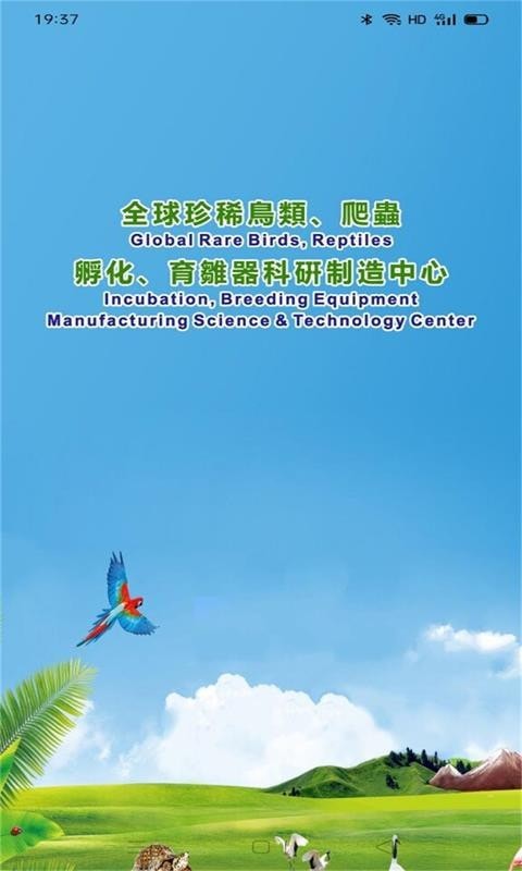 巴布亚国际 巴布亚国际