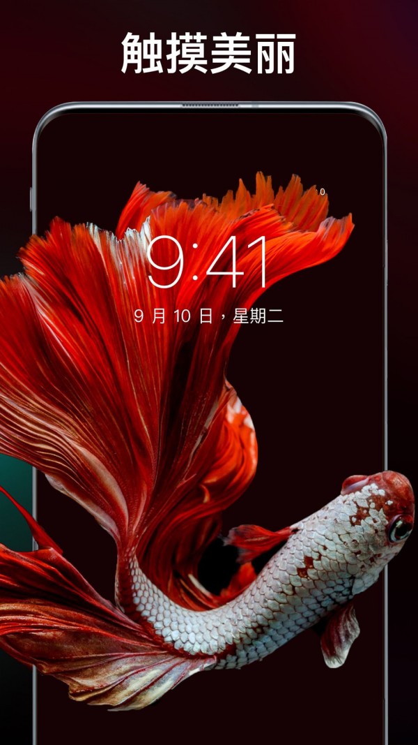 主题刘海壁纸