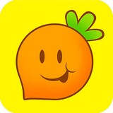 萝卜助手 v1.0
