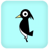 九鸟游戏盒子 v1.0